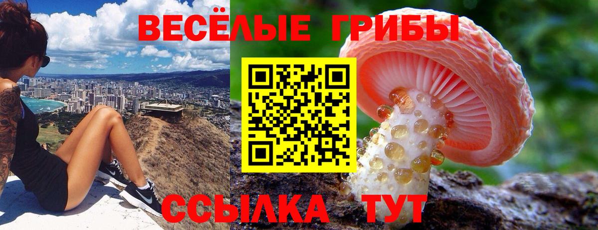 Ленинск-Кузнецкий  Галлюциногенные грибы GOLDEN TEACHER  Вход с VPN 